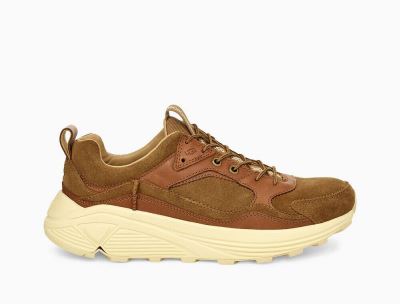 UGG Miwo Trainer Low Mens Sneakers Chestnut/ Brown - AU 15AV